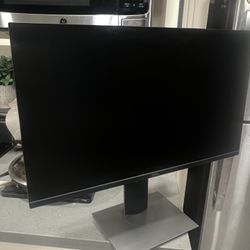 Dell Screen Monitor 