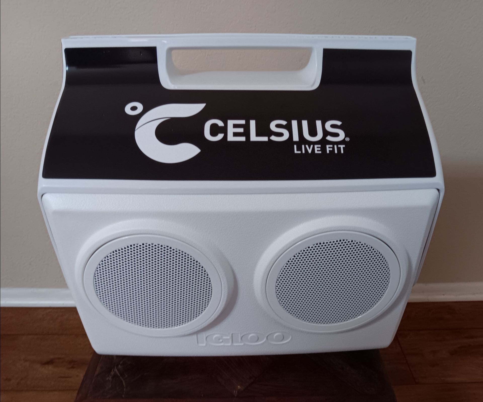 Celsius Igloo KoolTunes Cooler