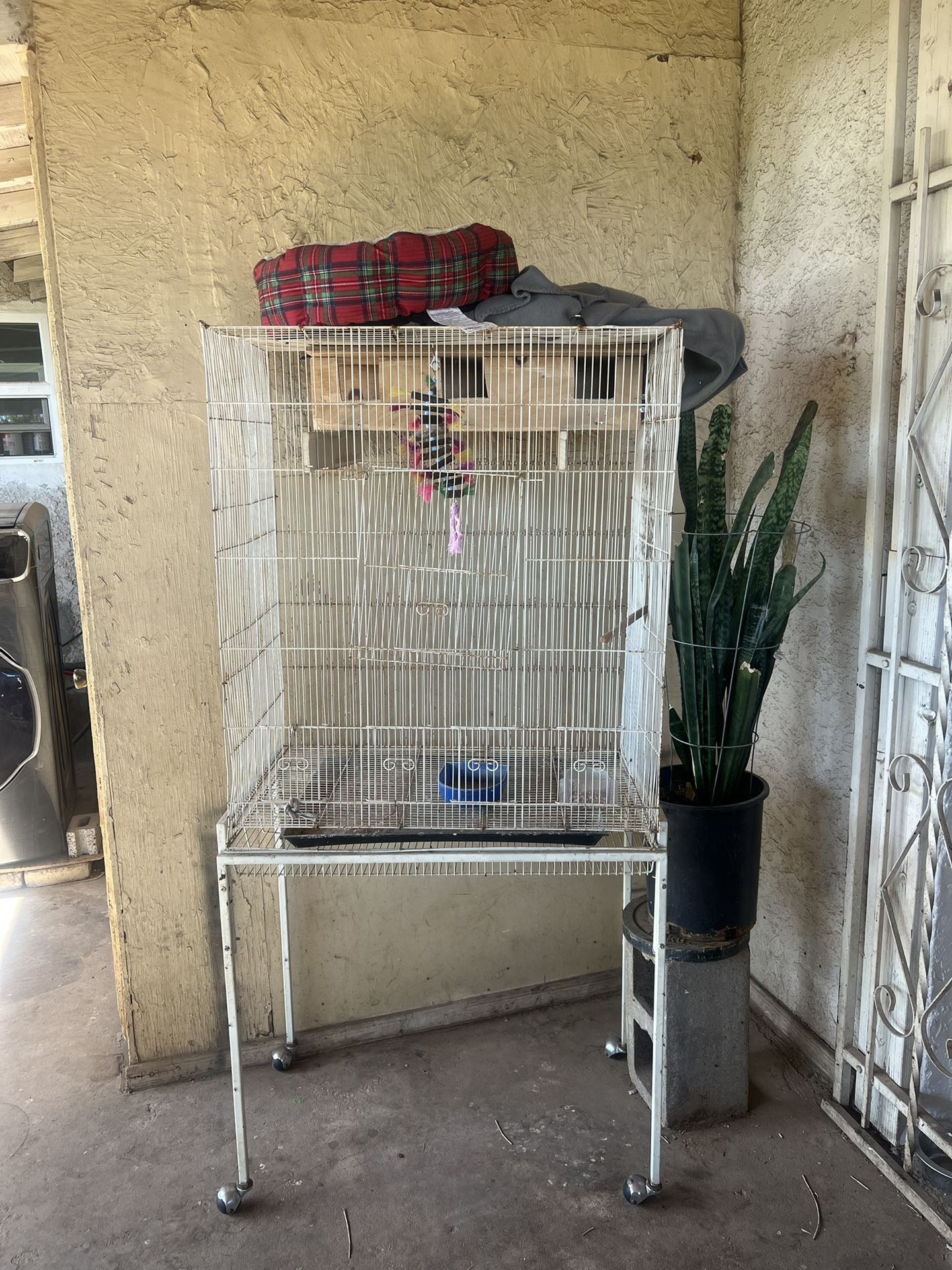 Bird Cage