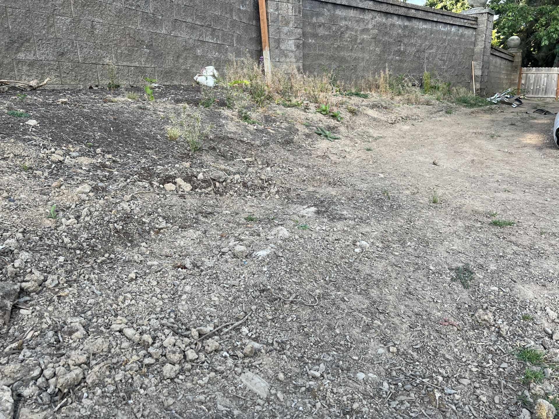 Free Dirt Clackamas, Come Dig/Excavate