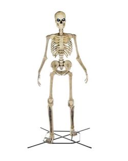 BRAND NEW VIRAL 12 FOOT GIANT SKELETON
