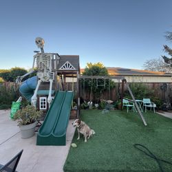Free play Structure & Thick Turf If Wanted 