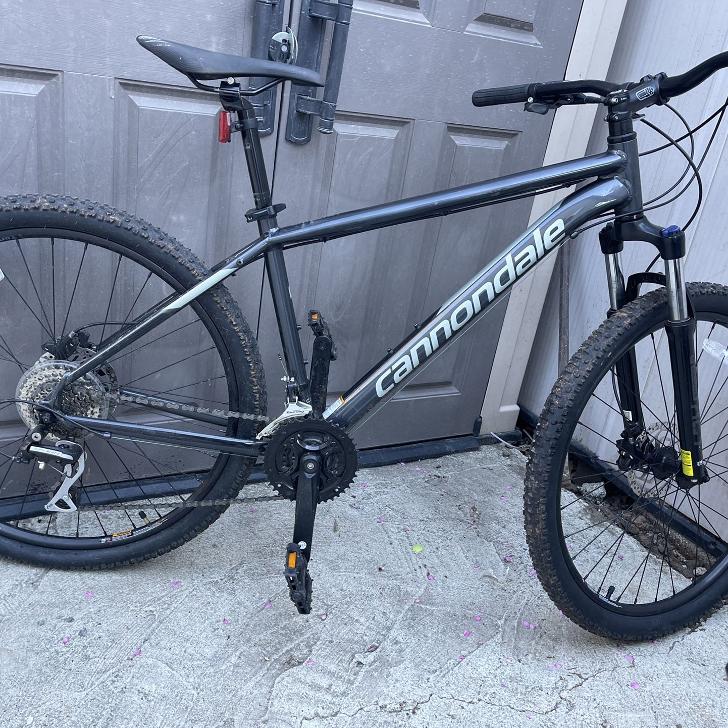 antwoord Behoren mild 2019 Cannondale Catalyst 1 (M) for Sale in Santa Rosa, CA - OfferUp