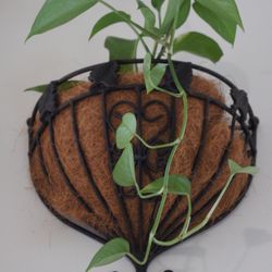 Set of 2 solid metal hanging planters