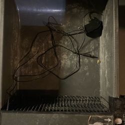 Self Cleaning Cat Litter 