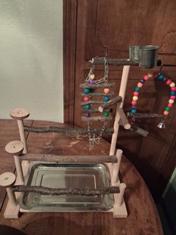 Sun conure Perch play structure!