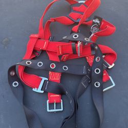 Body Harness