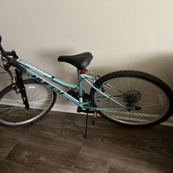 26in Bike