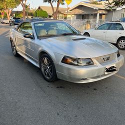 2003 Ford Mustang
