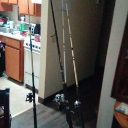Sea striker 10  ft  fishing rod.glowstix 8ft rod Barkley 7ft tiger  7ft rod