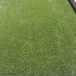 Turf