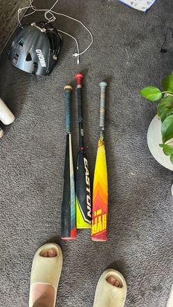 Bats