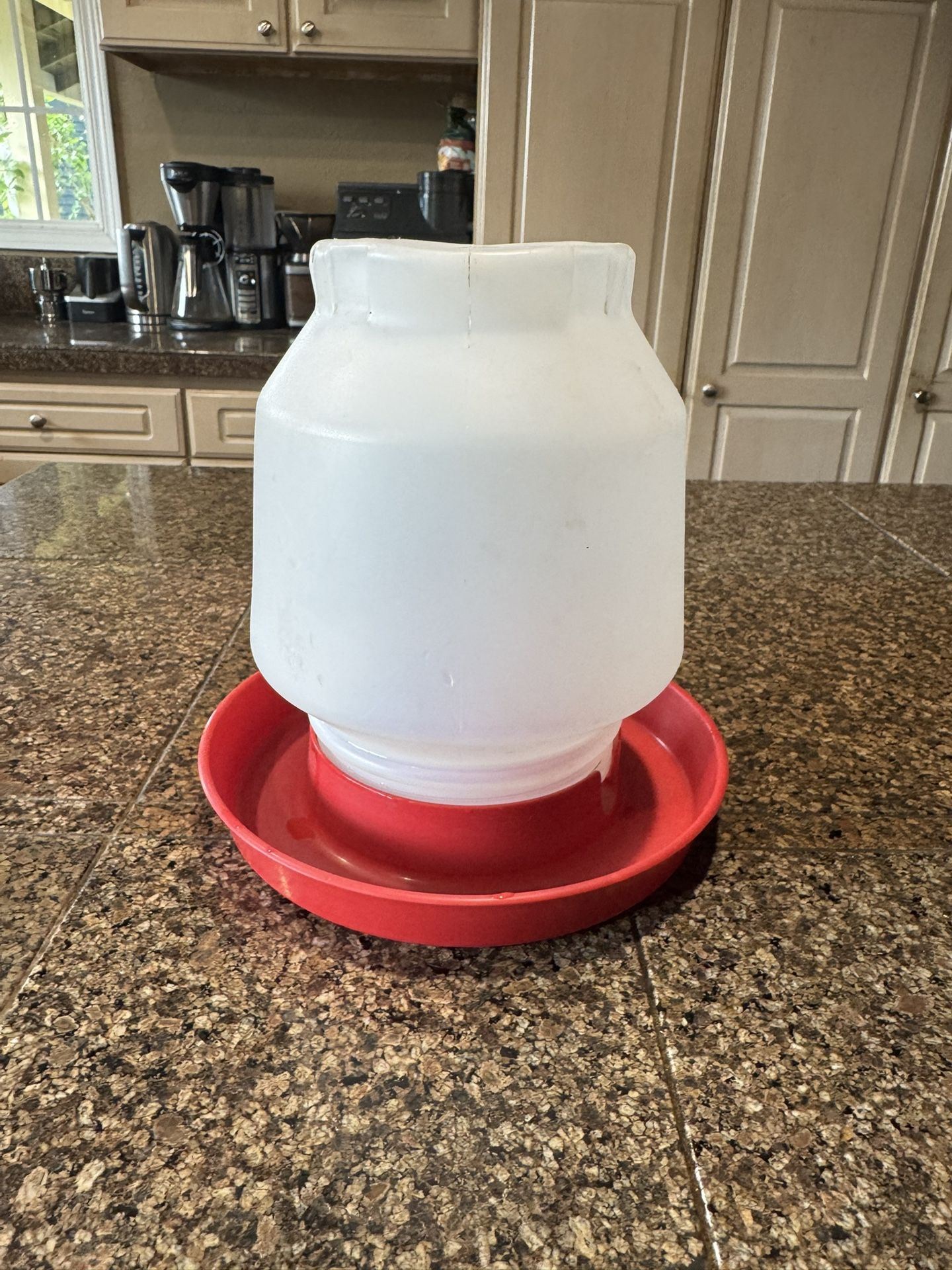 Chicken Or Duck Water Container