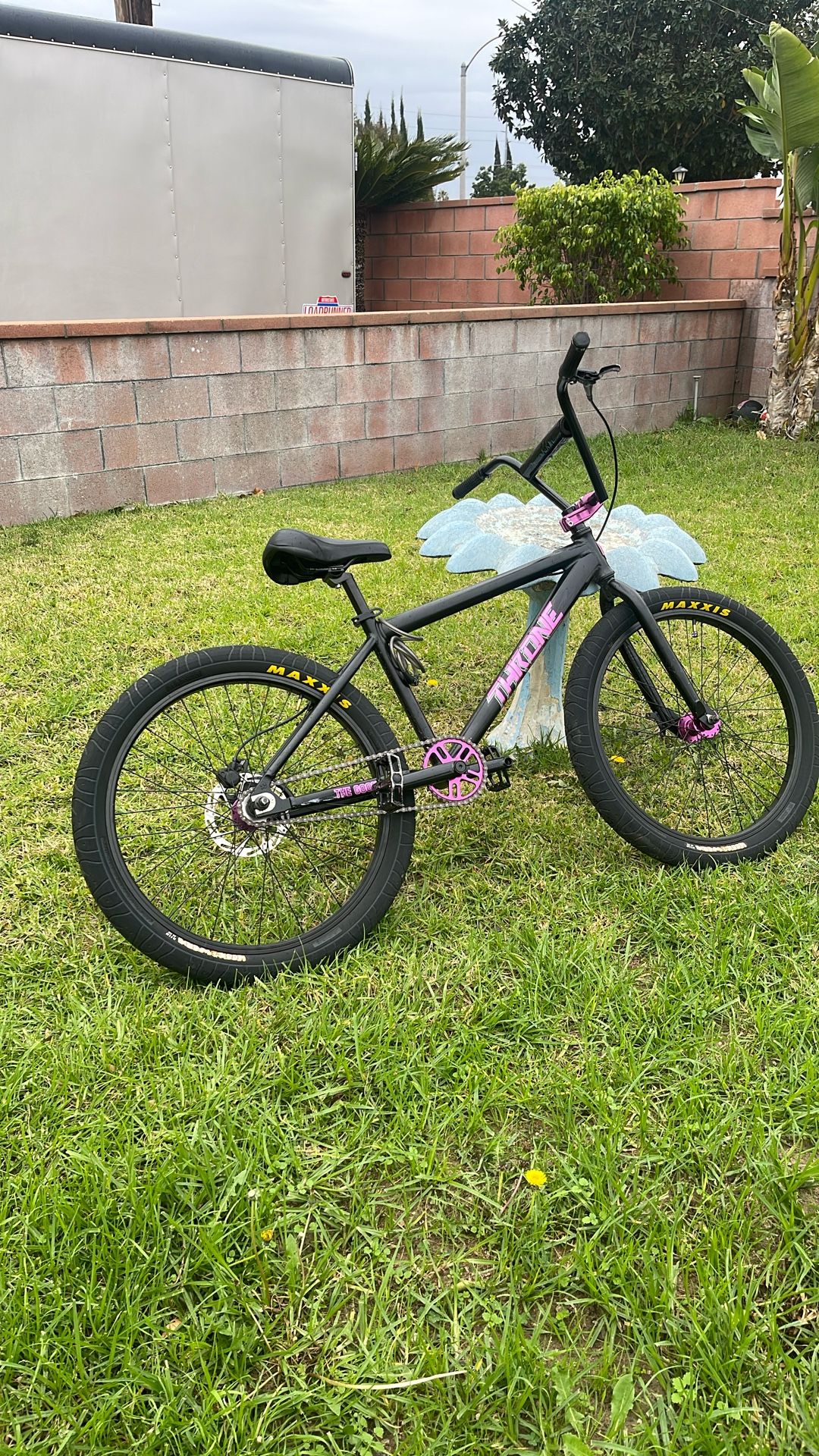 Throne Goon 24 Inch Black And Purple