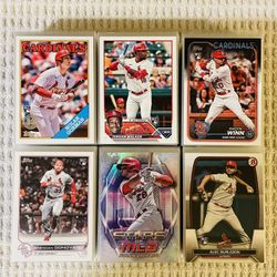 St. Louis Cardinals 355 Card Baseball Lot!