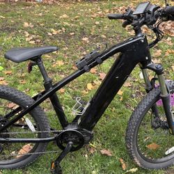 Electric bike $1000