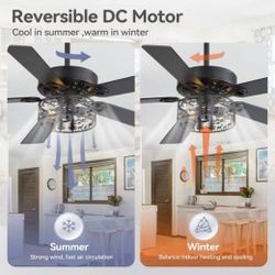 Ceiling Fan with Light