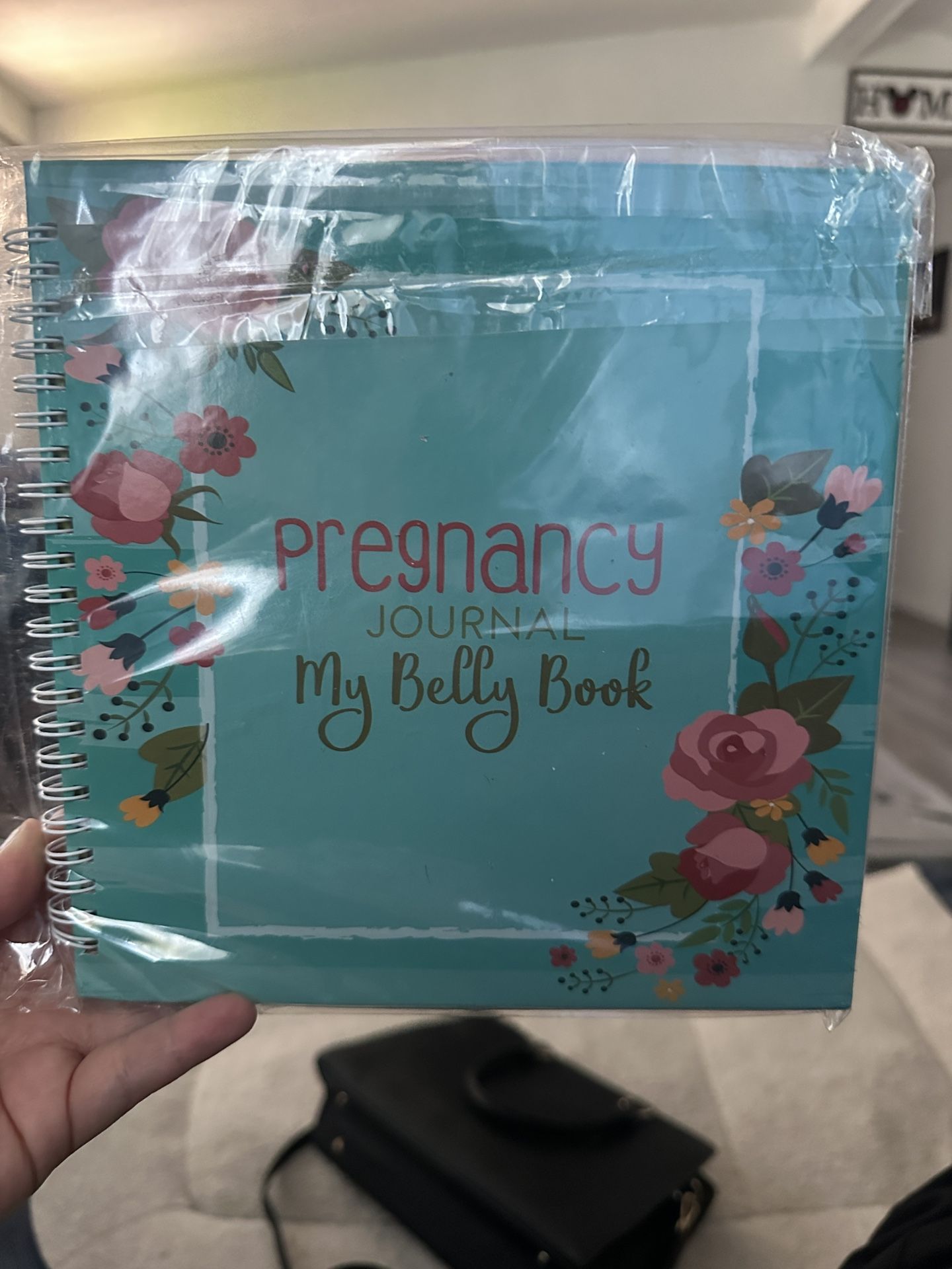 Pregnancy Book