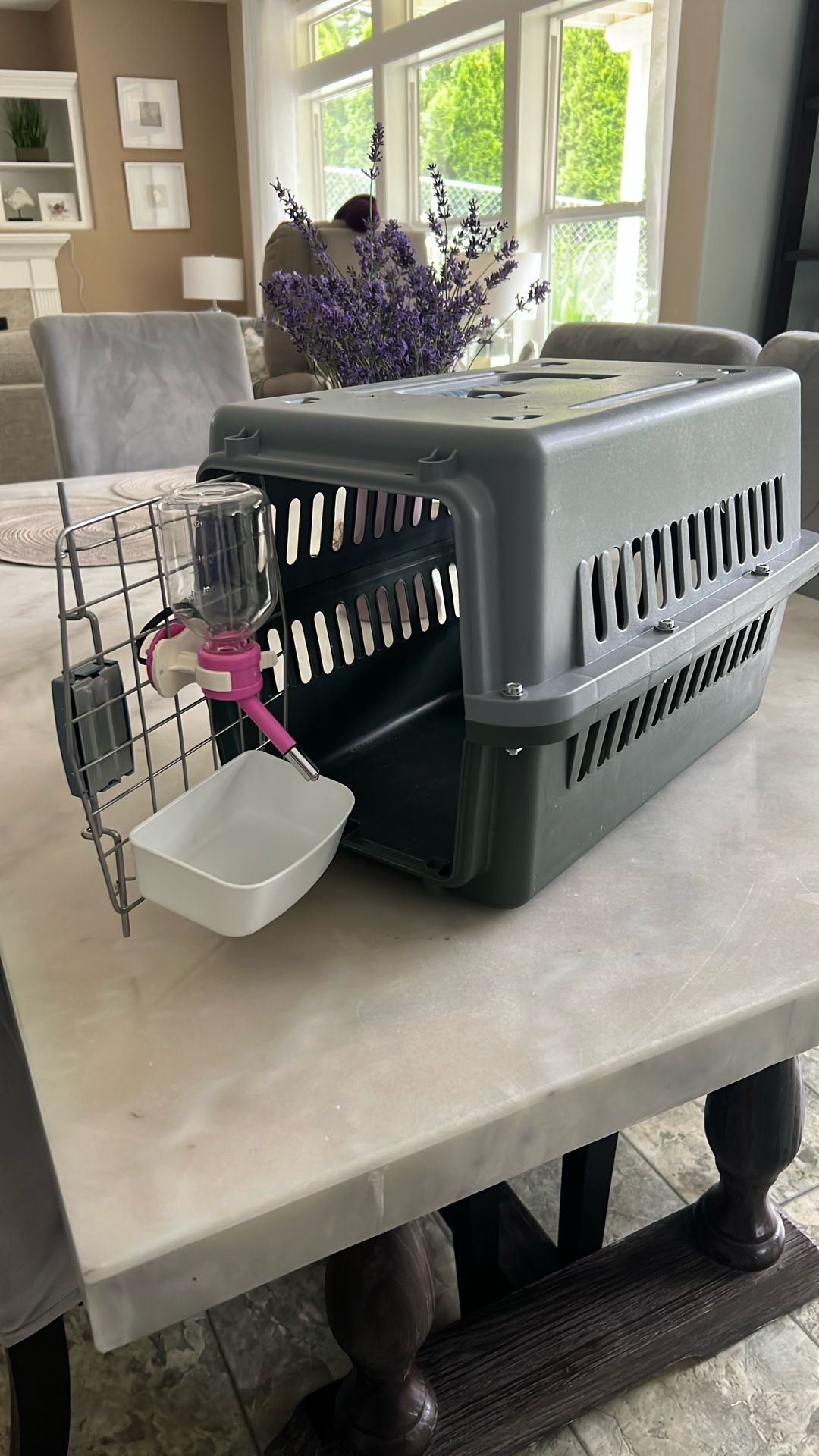 Small Pet Carrier for Dogs & Cats. Travel Pet Carrier.