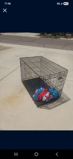 Dog Kennel