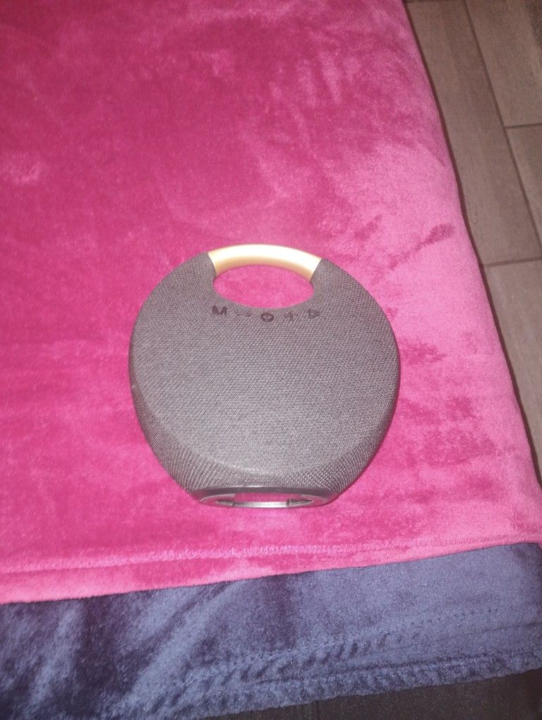 Speaker