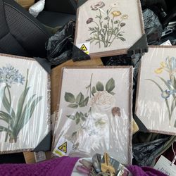 Framed Art