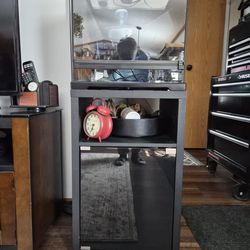 Terrarium Exo Terra Frog  habitat