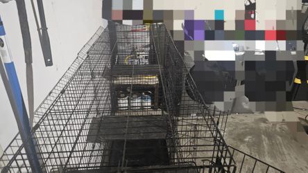 Pets Cage, Cat, Birds 