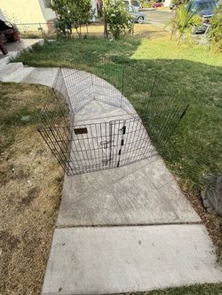 Puppy playpen