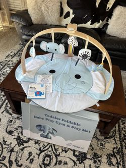 New Baby Playmat Gym