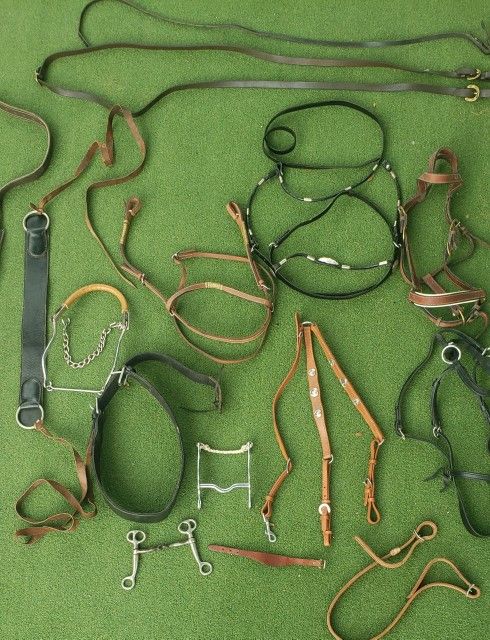 Horse Bridels Straps, And Harness 