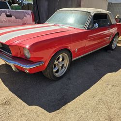 66 ford mustang
