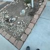 5star
