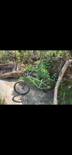 Nukeproof XXL scout 290