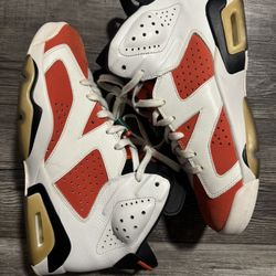 Retro Jordan 6s Gatorade 