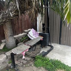 Weight Bench And Bars