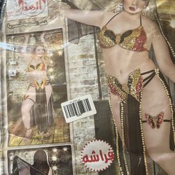 Belly Dance Costume For Women