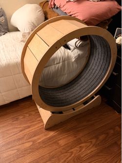 Cat wheel