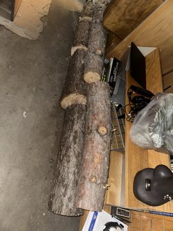 Lumber Logs Wood Pine