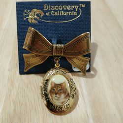 Vintage Brooch With Cat