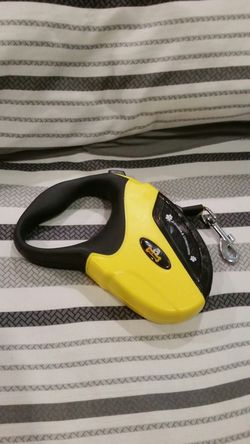 Retractable dog leash 10ft.