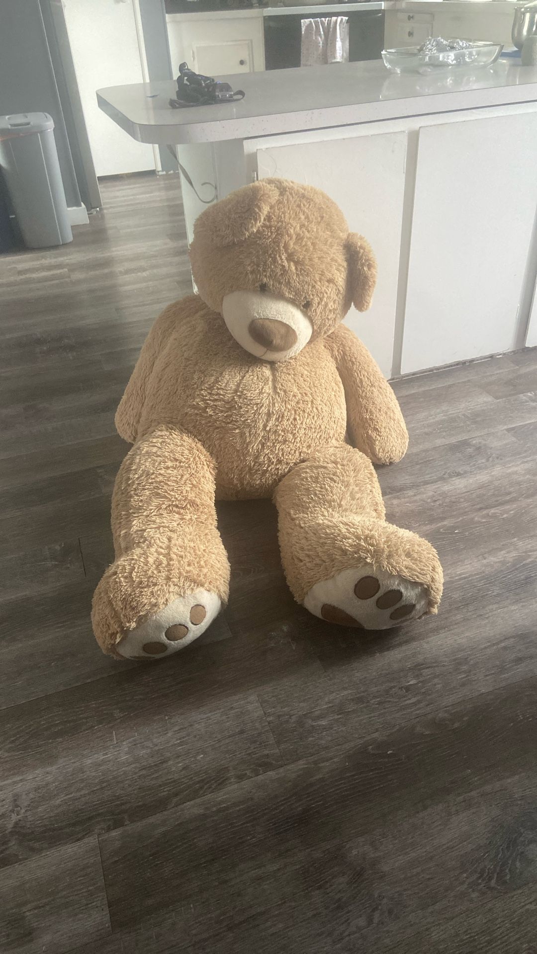 Big Teddy Bear