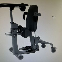 Easystand By Evolv For Special Needs Standing And Sitting