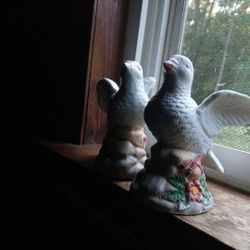 Dove Love Twins