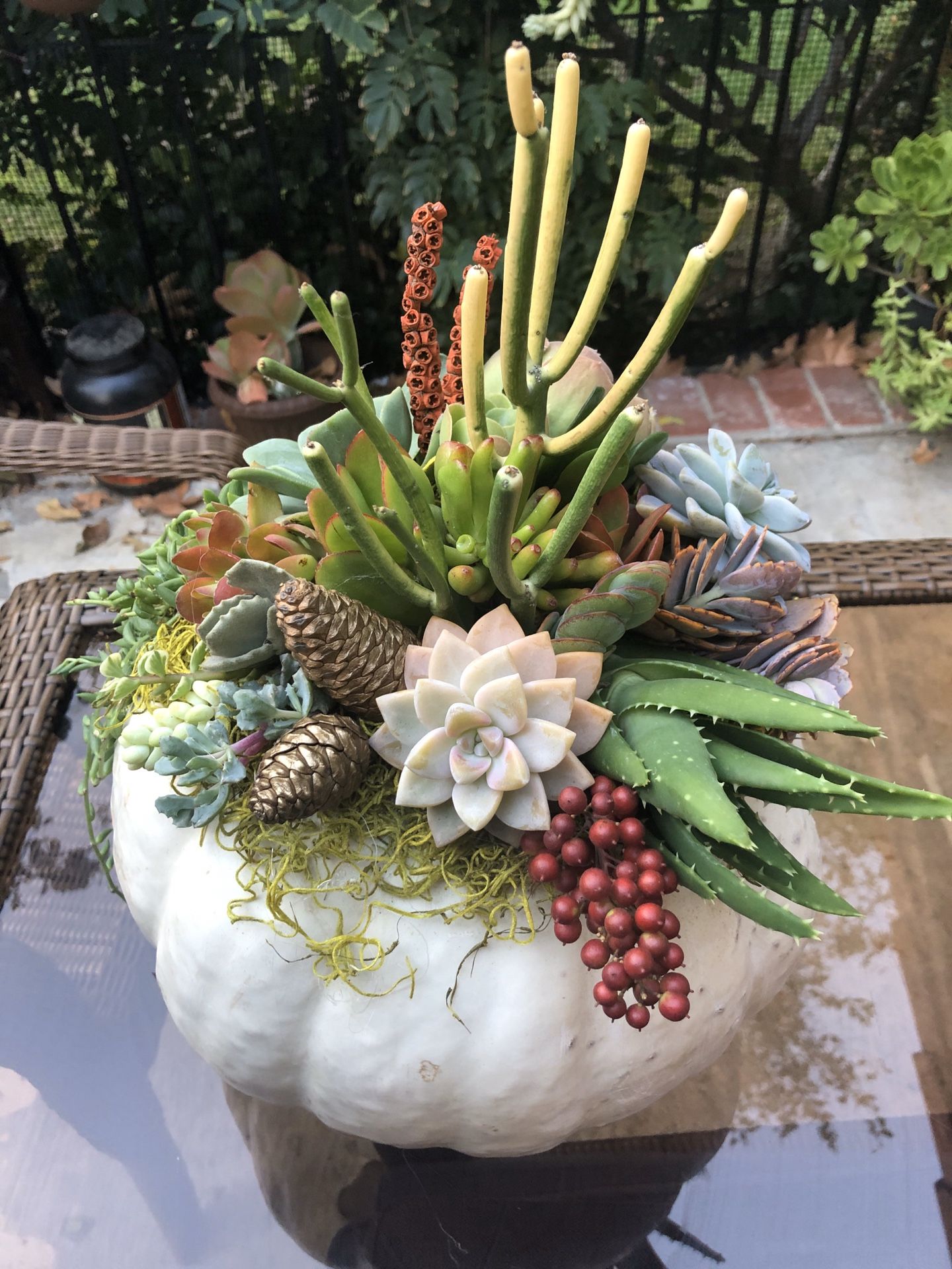 Succulent pumpkin arrangements