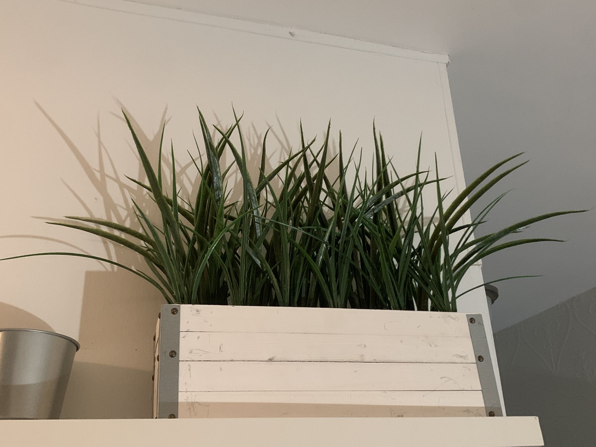 Fake Plant