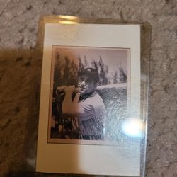 Yogi B. Baseball Card