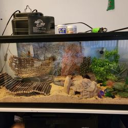 Reptile Aquarium 