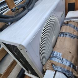 Ac Basil 