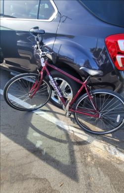 Bianchi Torino